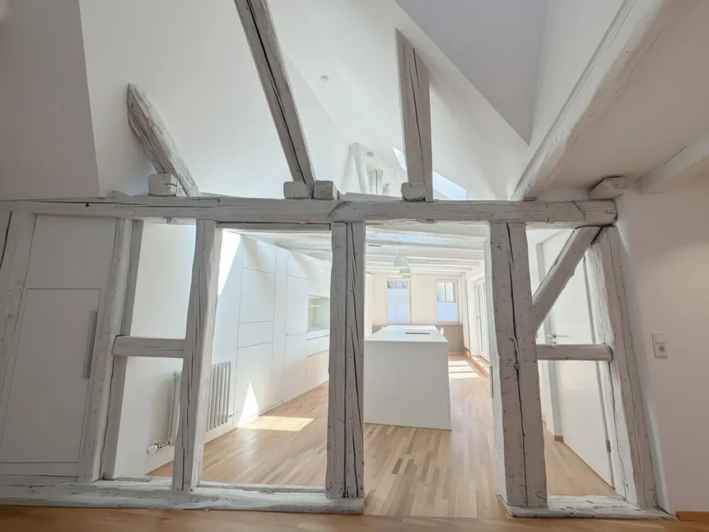 Lichtdurchflutetes Loft mit historischem Flair und komfortablem TG-Stellplatz
