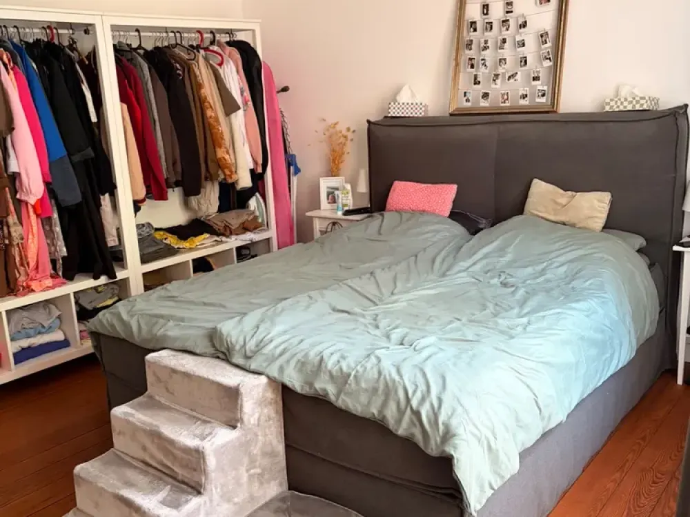 Renovated 3-Room Old Building Apartment to Feel Good