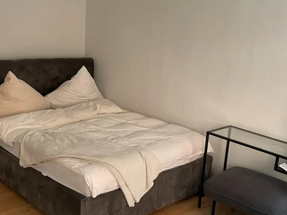 1 Zimmer Wohnung im Herzen Frankfurts