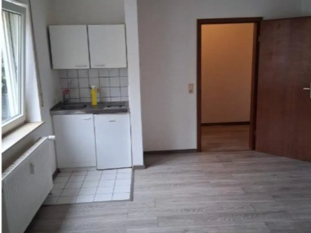 Renting 1-room apartment near the university and the city center