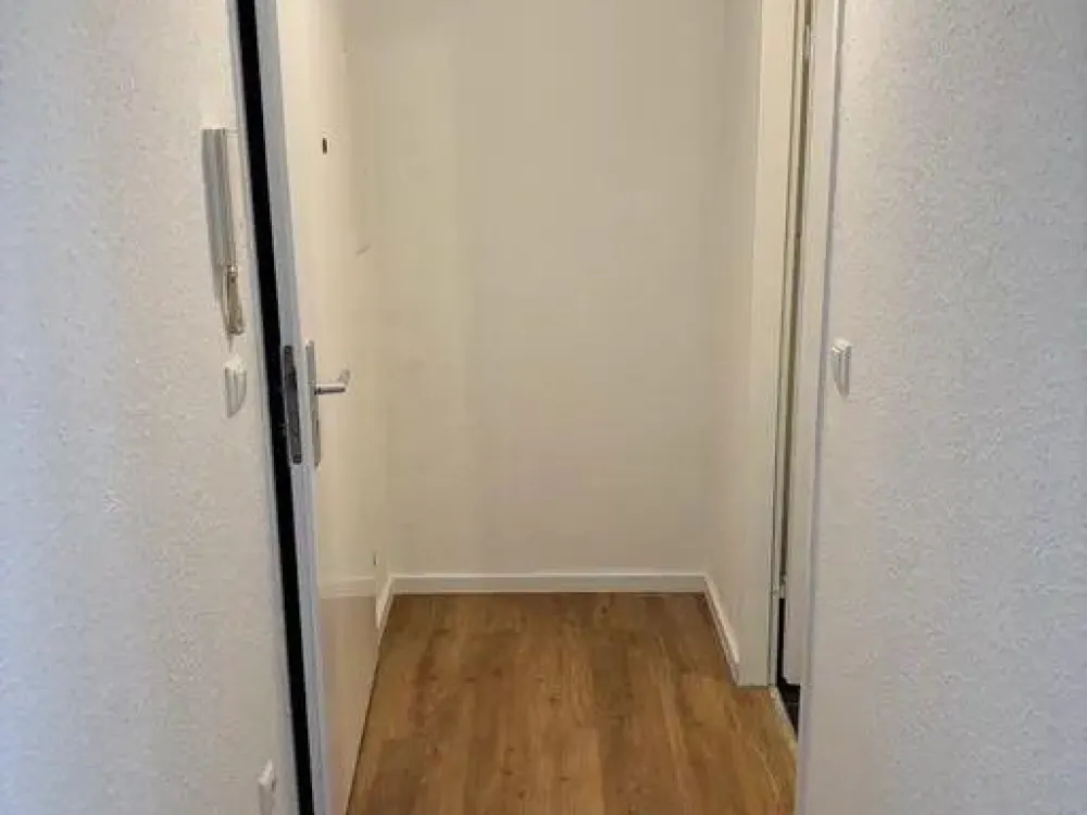 شقة