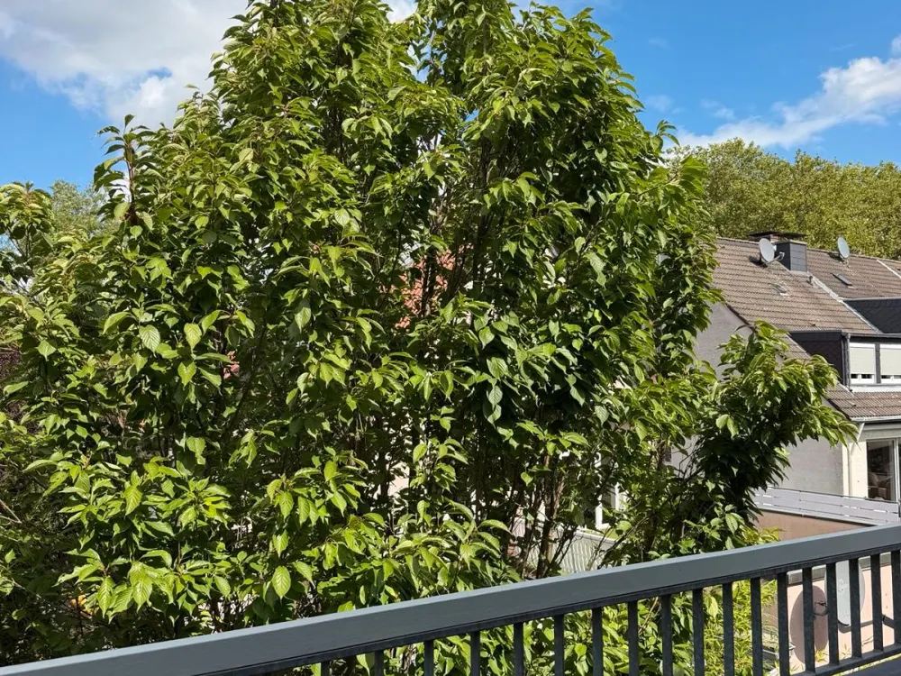 Kernsanierte, 4,5-Zimmer-DG-Wohnung mit Loggia und toller Lage