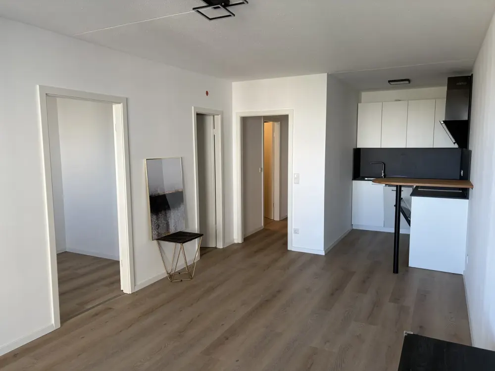 Modernisierte 1,5-Zi-Wohnung mit Teil Skylineblick, Erstbezug nach Sanierung - alles Neu