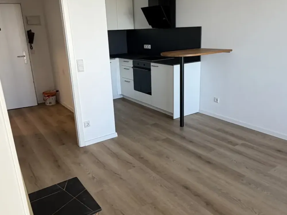 Modernisierte 1,5-Zi-Wohnung mit Teil Skylineblick, Erstbezug nach Sanierung - alles Neu