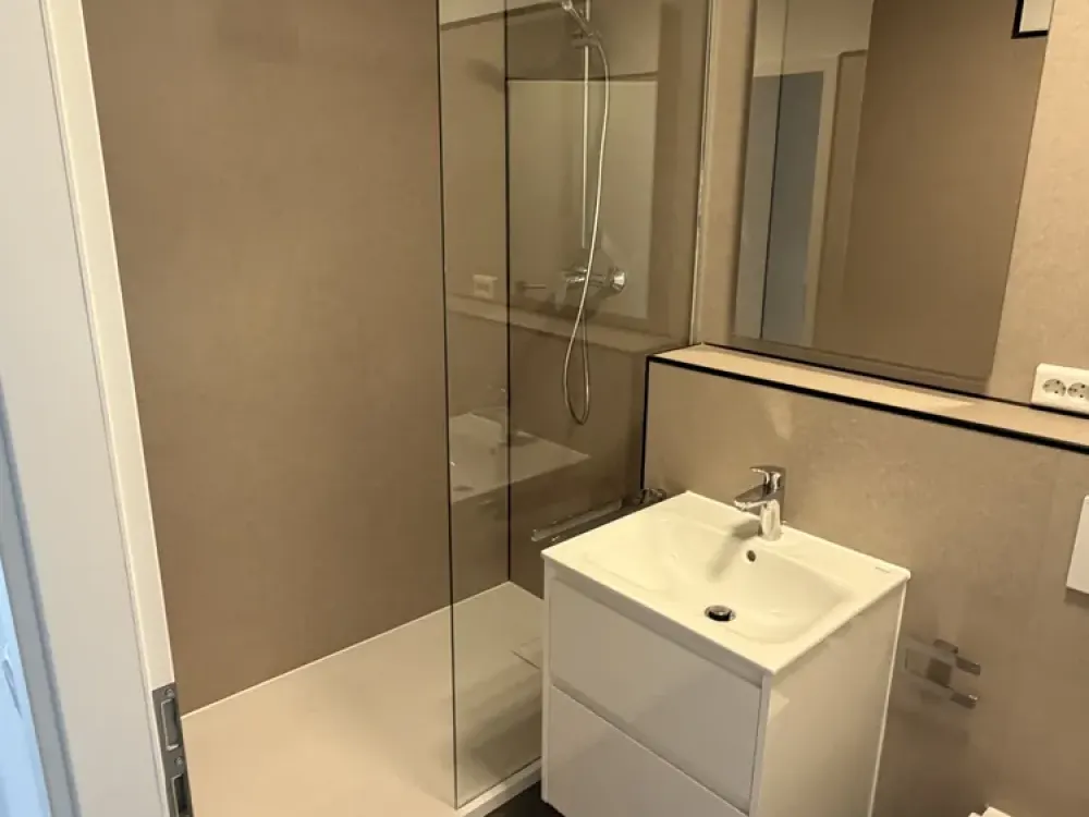 Modernisierte 1,5-Zi-Wohnung mit Teil Skylineblick, Erstbezug nach Sanierung - alles Neu