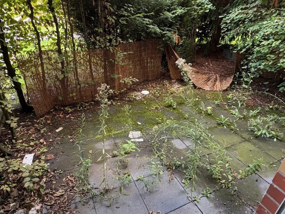 Ruhige 2 Zimmer Wohnung mit Gartenterasse und KFZ- Einstellplatz