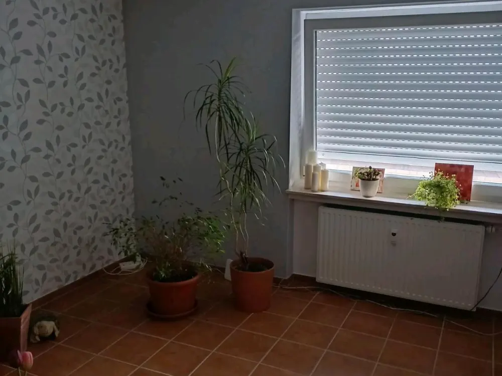 Mietwohnung, Wohnung, Hövelhof, Riege