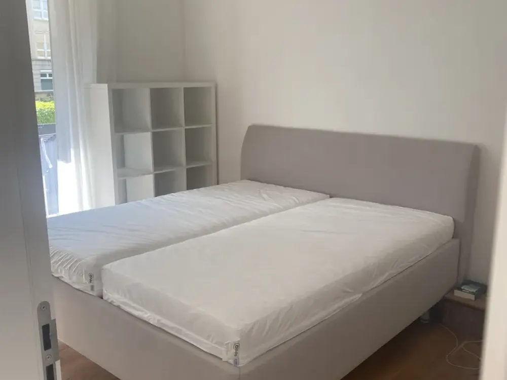 شقة مشرقة من 2 ونصف غرفة في مبنى جديد، مؤثثة جزئياً، مباشرة عند Dresdner Zwinger