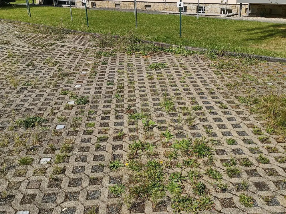 3-Raumwohnung mit Balkon in Pirna provisionsfrei zu vermieten