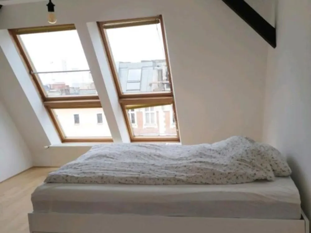 Untermiete Okt-Nov in schöner Dachgeschoss Wohnung in Mitte