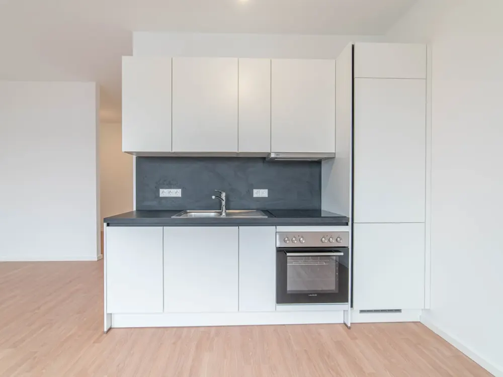 Penthouse Manhattan-Style Studio with Terrace Apt 261