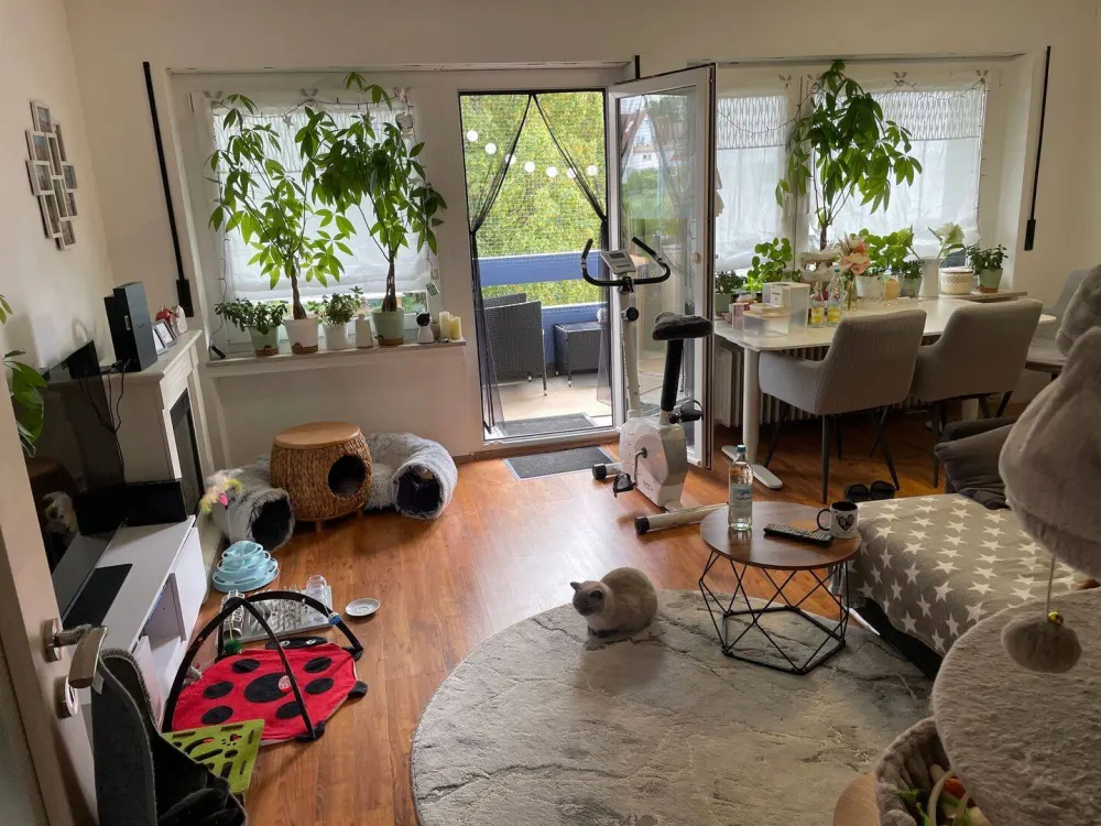 3 Zimmer Wohnung mit Elektrischer Garage + Stellplatz