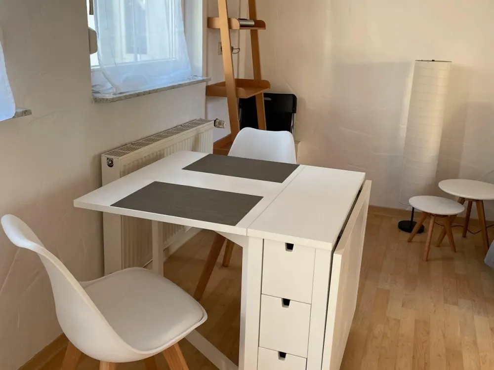 RV Mitte: Small Furnished Apartment Available Temporarily from Mid-September