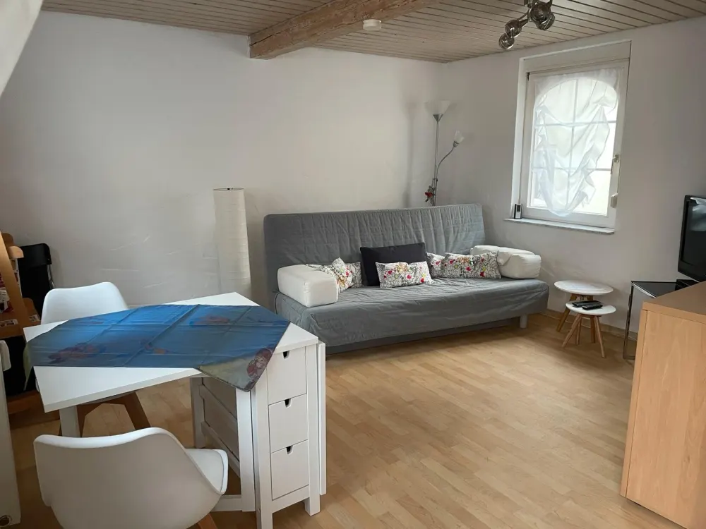 RV Mitte: Small Furnished Apartment Available Temporarily from Mid-September
