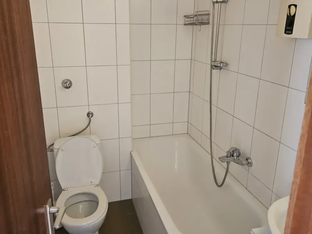 Frisch Renovierte 3-Zimmer-Wohnung mit Einbauküche