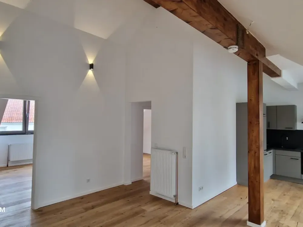 Chic Penthouse, 3 Rooms, Kitchen, Bathroom in Heavenly Peace and Green View in the City Center Seeks New Tenant