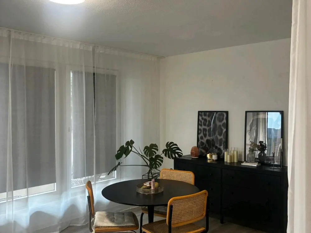 1.5 Room Apartment