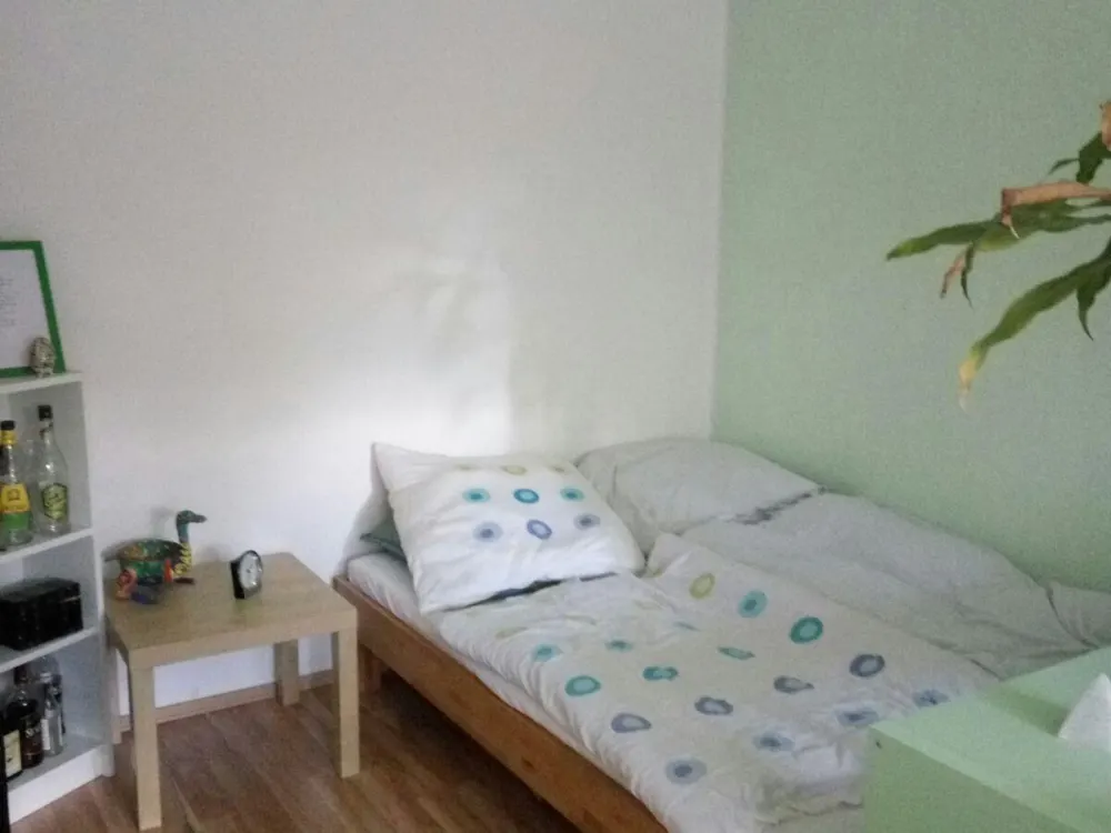 Schöne 1-Zimmerwohnung in Dreieichenhain