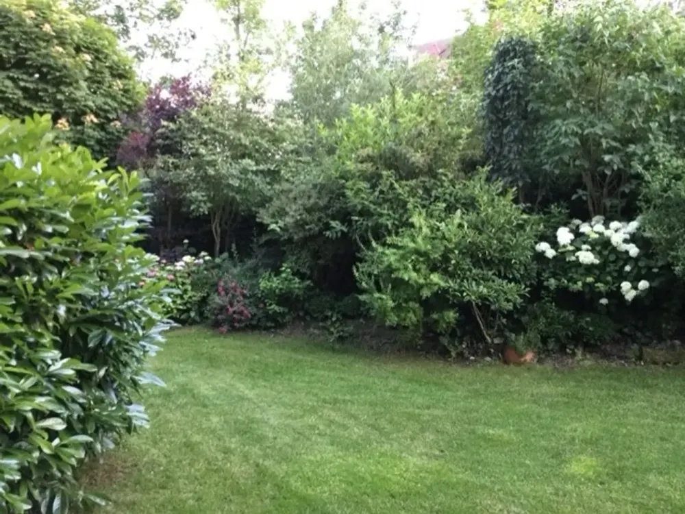 Sonnige und helle Gartenwohnung direkt in Kronberg/Ts.