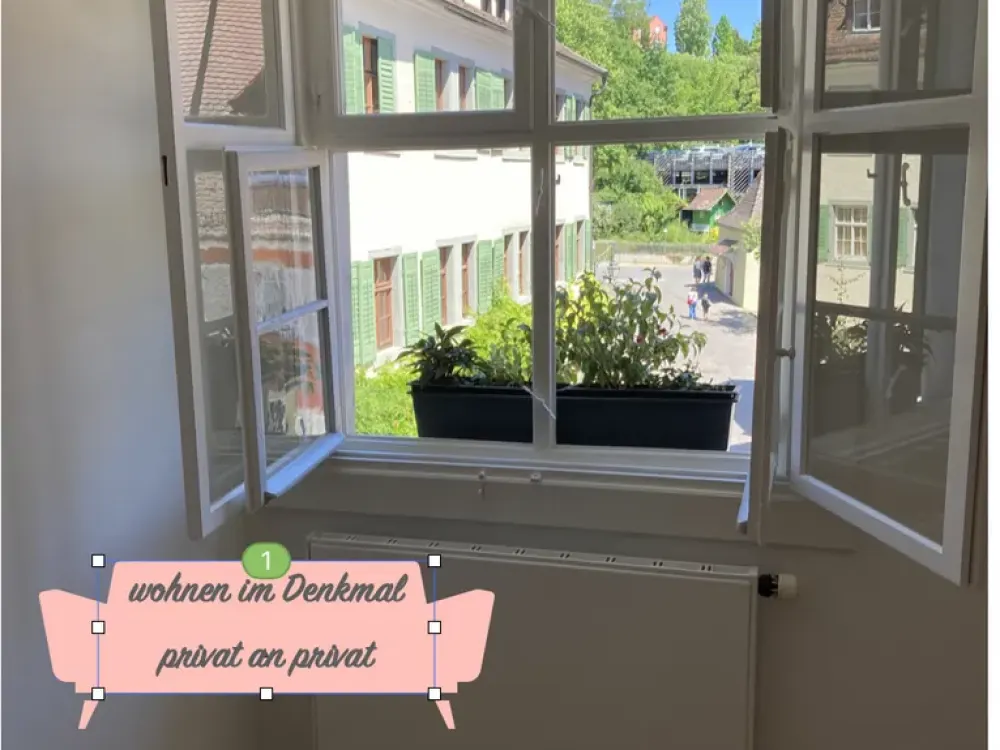 Feinsinnig restauriertes & saniertes Kleinod in der Meersburger Altstadt mit Blick ins Grüne