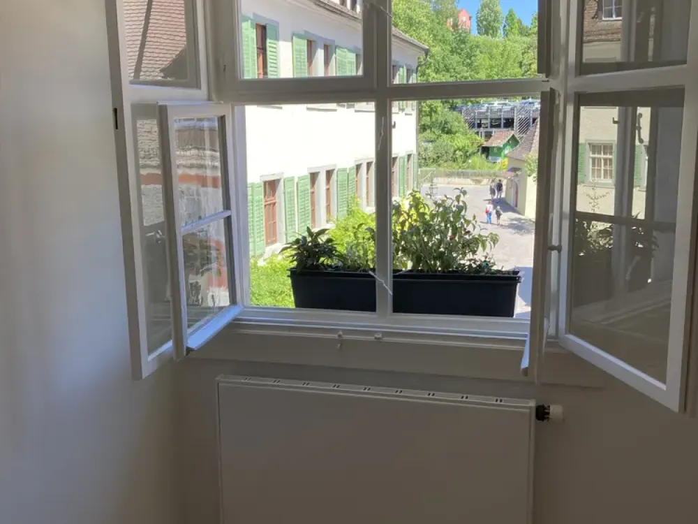 Feinsinnig restauriertes & saniertes Kleinod in der Meersburger Altstadt mit Blick ins Grüne