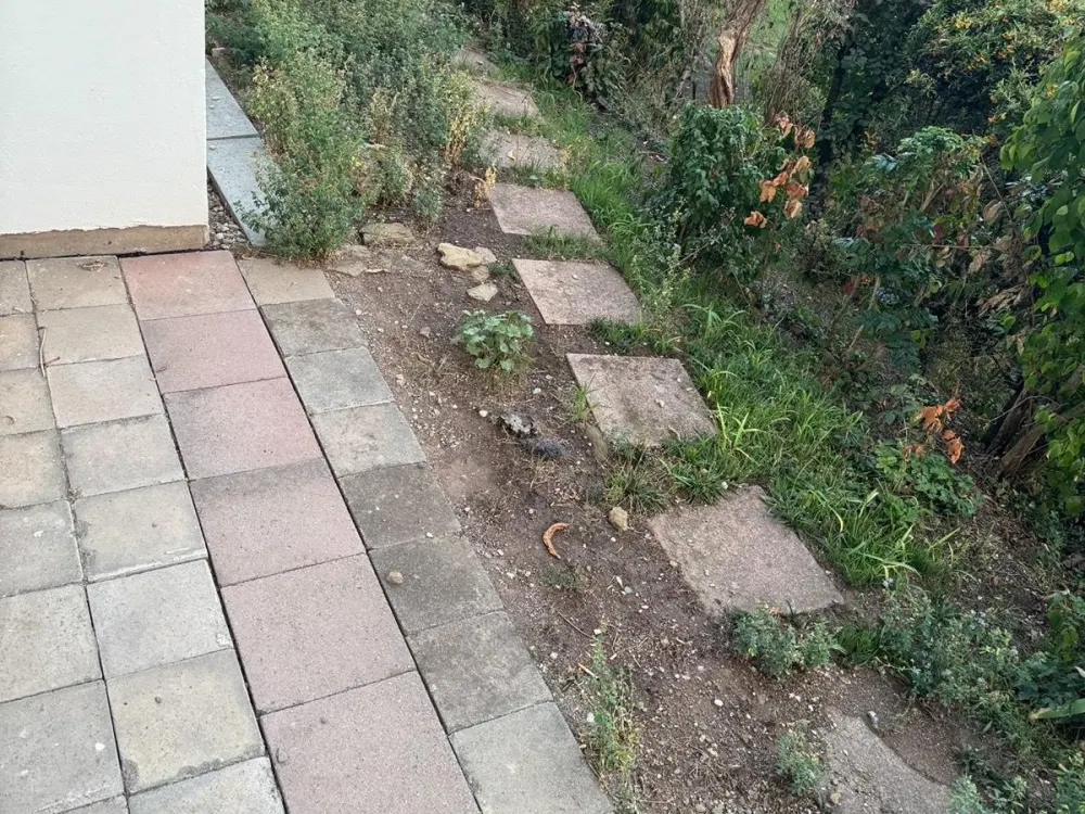 Möblierte 1,5 Zimmer Wohnung WEST EBK + Terrasse (Ablöse)