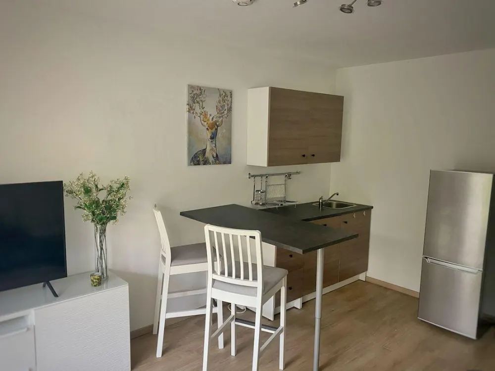 Schöne Wohnung mit Garten in Isar-Nähe