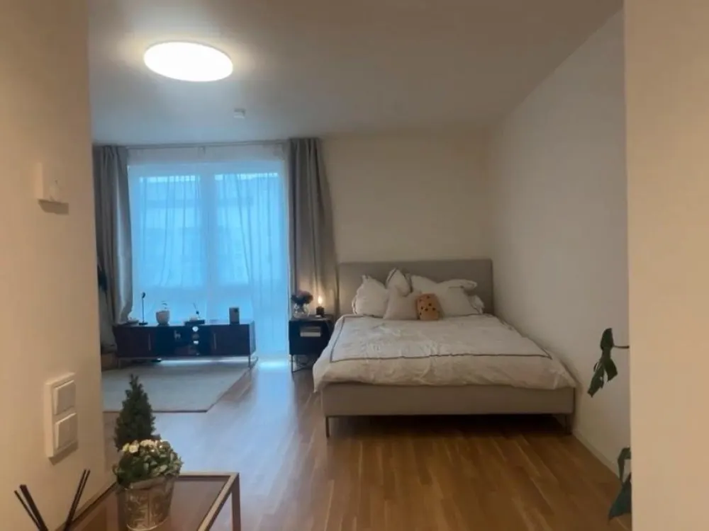 1 Zimmer Wohnung zur Untermiete
