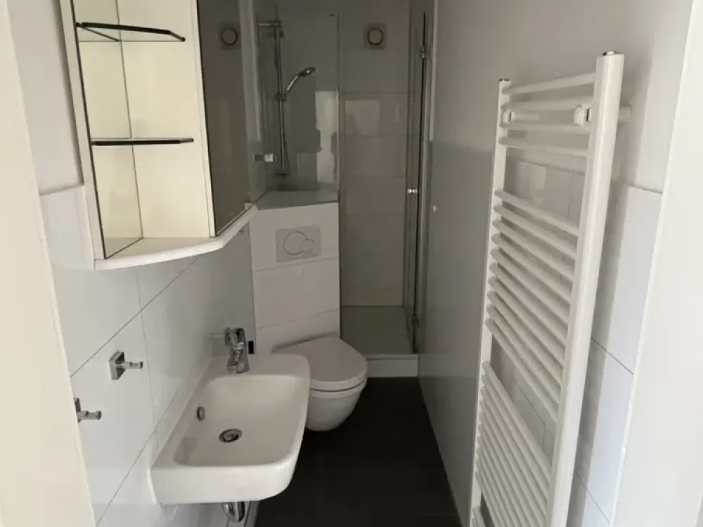 Attic Apartment | 2.5 Rooms | Newly Renovated