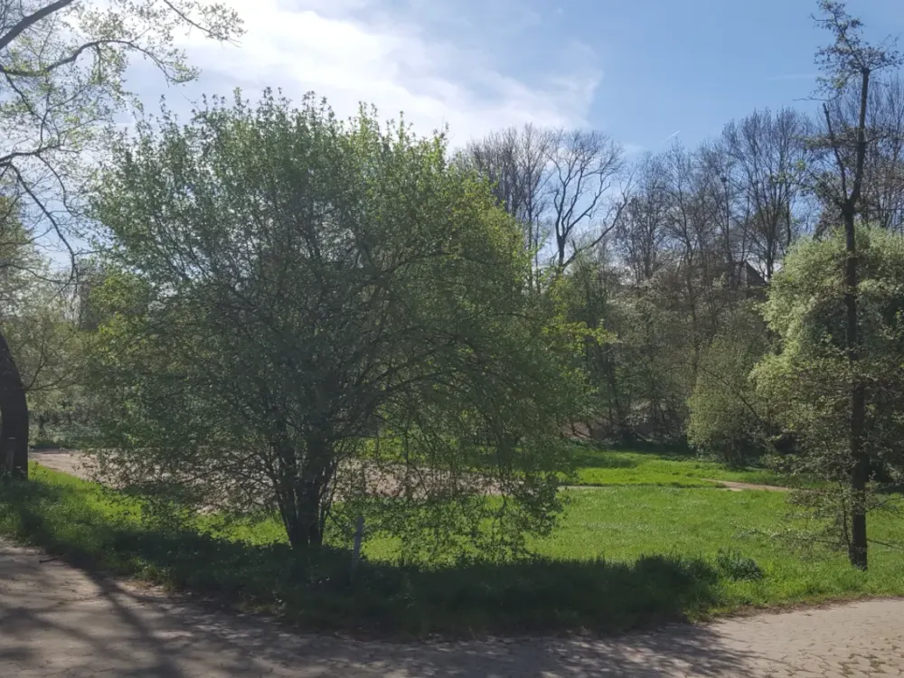 Mit Blick ins Grüne - gepflegte, ruhige und sonnige 2-Zimmer-Wohnung in bester Wohnlage