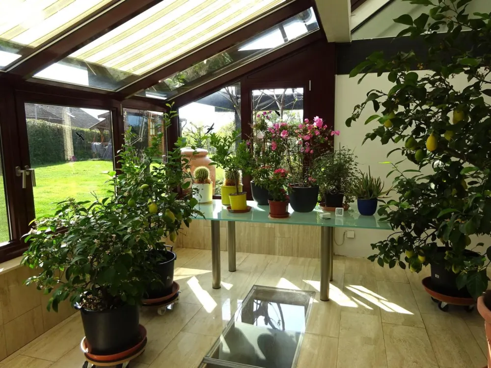 Große Maisonette mit Garten und Biotop