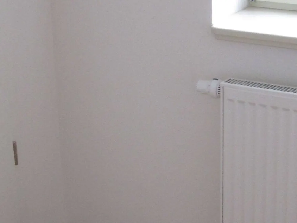 helle, zentral gelegene 1 Zimmerwohnung in der Dresdner Neustadt