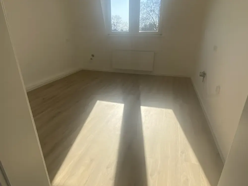 Großzügige, WG-geeignete, sanierte Altbau-Maisonettewohnung nahe Mainufer