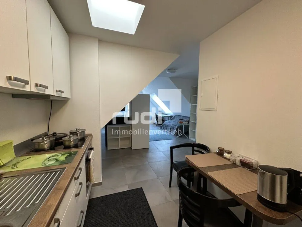 Temporary Living - Furnished 1-Room Apartment for Rent