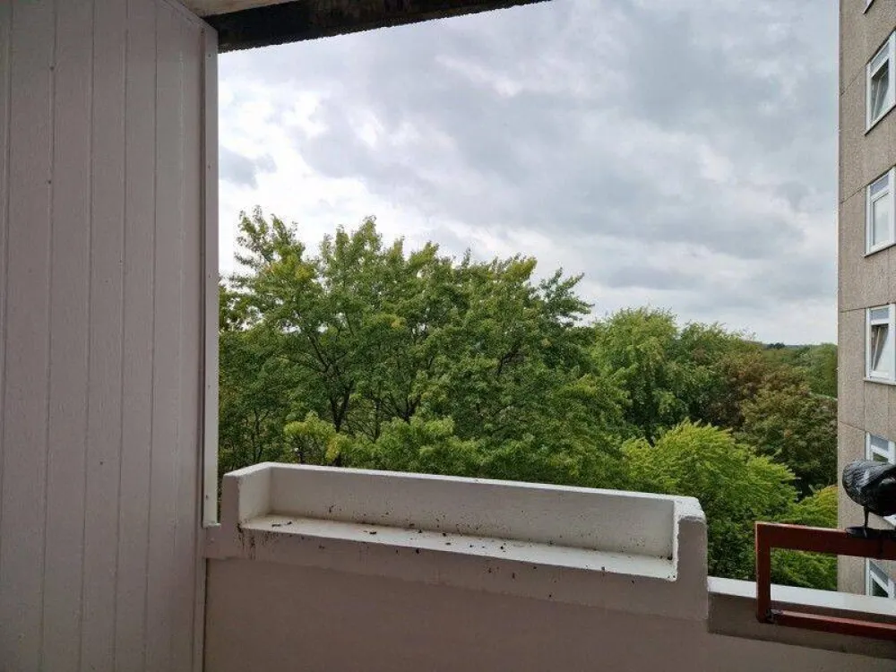 Die gefällt mir: komplett renovierte 3-Zimmer-Wohnung mit Balkon!