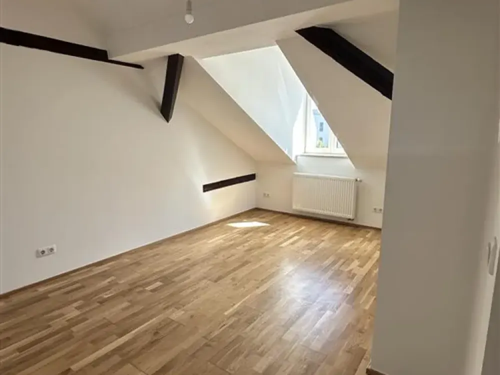 First occupancy: newly developed 1-room attic apartment