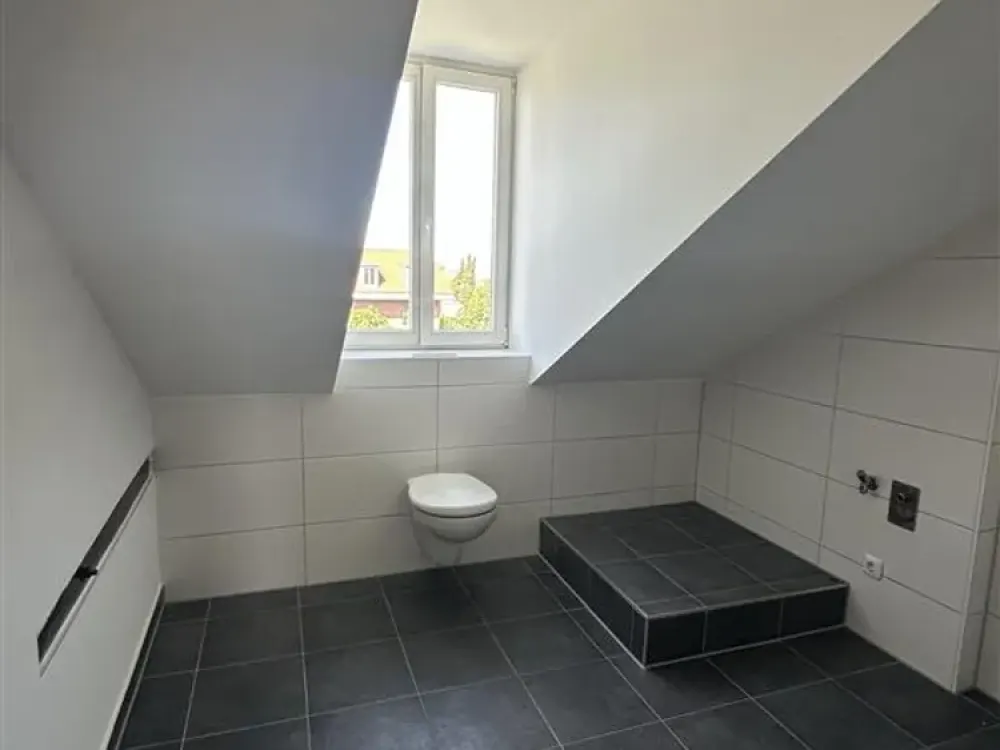 First occupancy: newly developed 1-room attic apartment