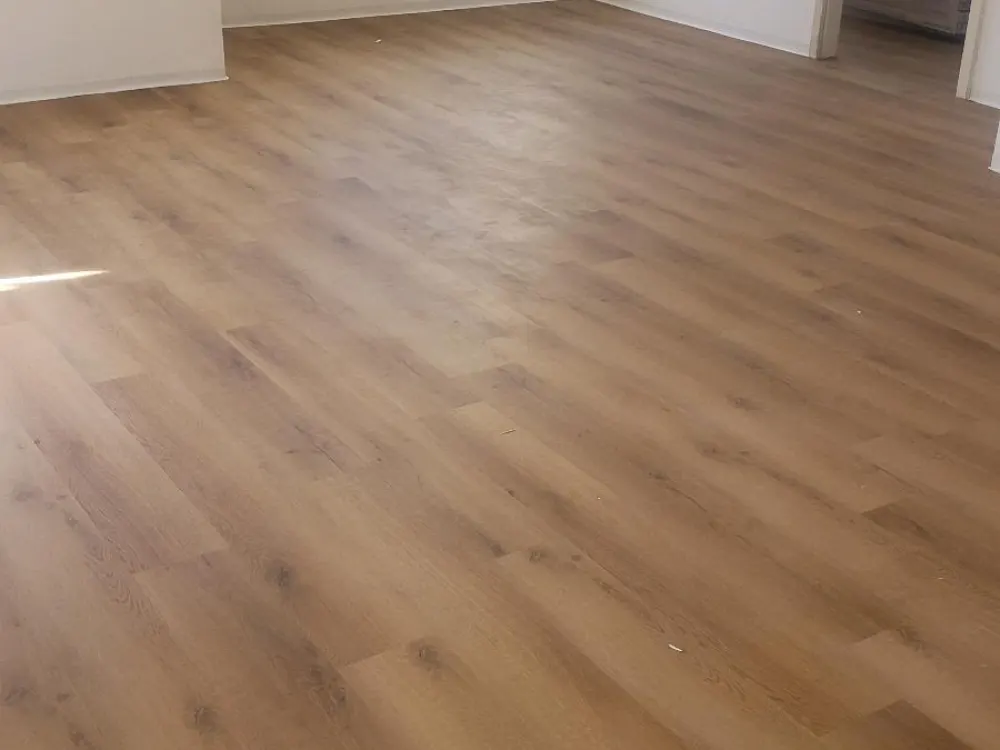wohnung zu vermieten