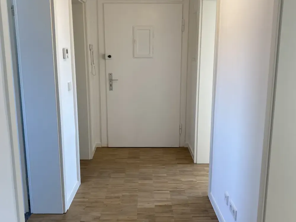 TOP Renovierte & sehr helle 3 Zi Wohnung / Erstbezug