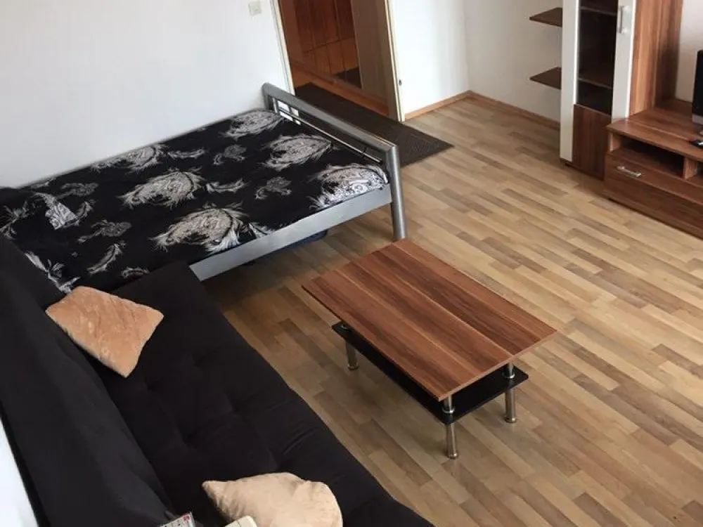 Möblierte 1-Zimmer-Wohnung in der Nähe des Wöhrder Sees Nürnberg