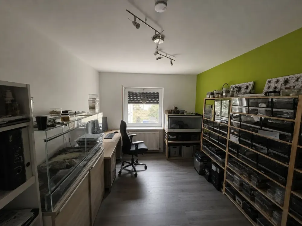 Helle 3-Zimmer-Wohnung mit Sonnenbalkon in Rüsselsheim