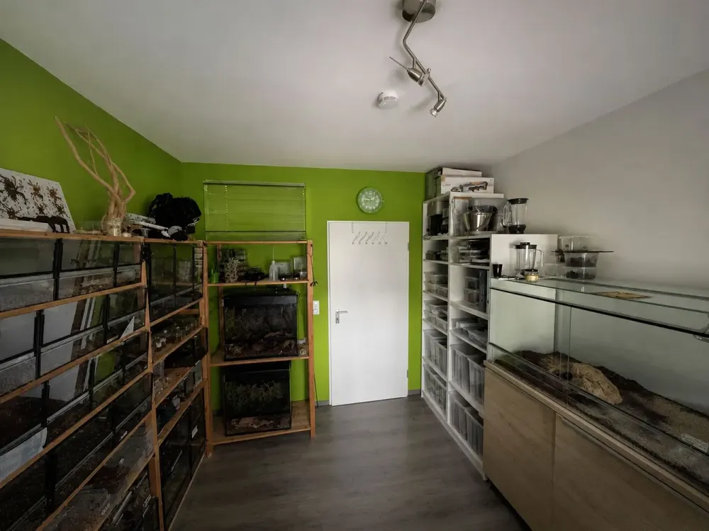 Helle 3-Zimmer-Wohnung mit Sonnenbalkon in Rüsselsheim