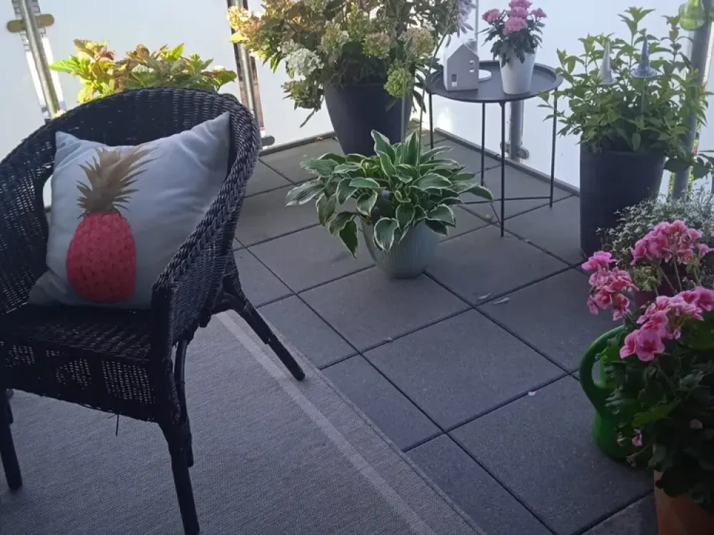 Bright, modern 3-room apartment in Reckenfeld