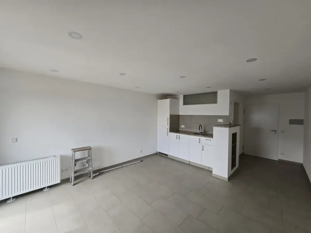 Freshly renovated 1-room attic apartment with balcony and parking space in Wendlingen for rent!