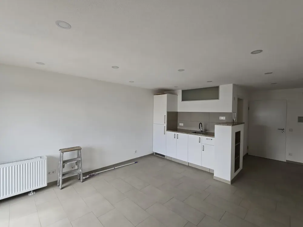 Freshly renovated 1-room attic apartment with balcony and parking space in Wendlingen for rent!