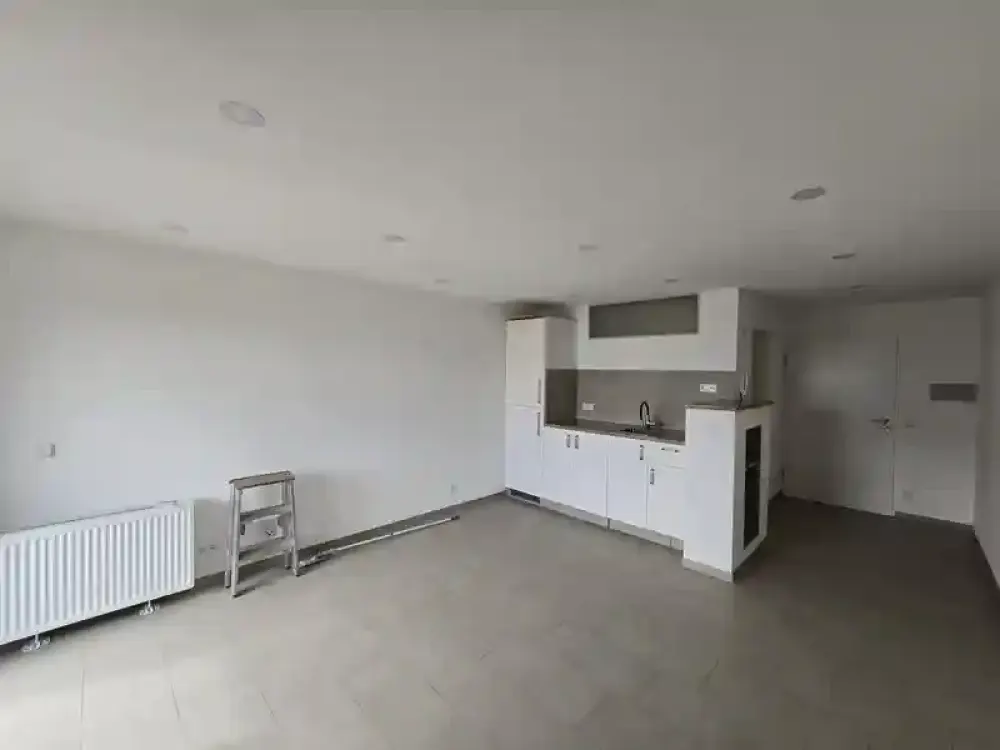 Freshly renovated 1-room attic apartment with balcony and parking space in Wendlingen for rent!