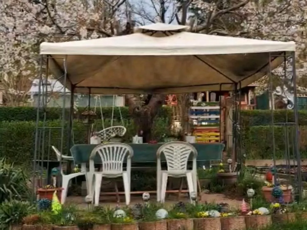 Garten in Pirna