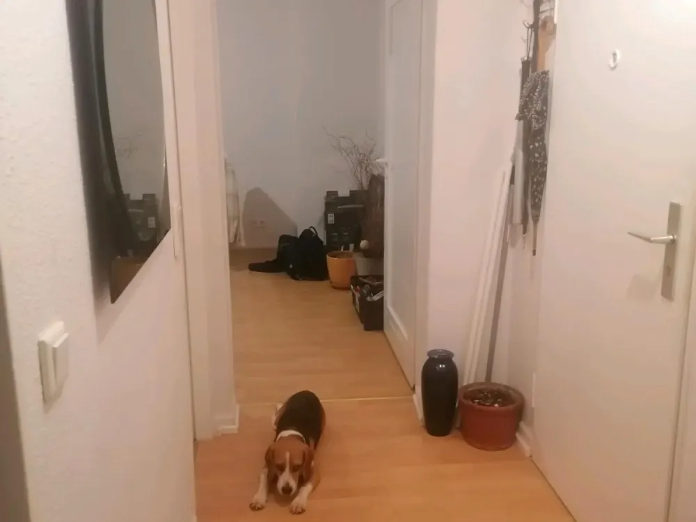 Helle 2-Zimmer-Wohnung nahe Stadthalle Offenbach, ab 01.10.2026