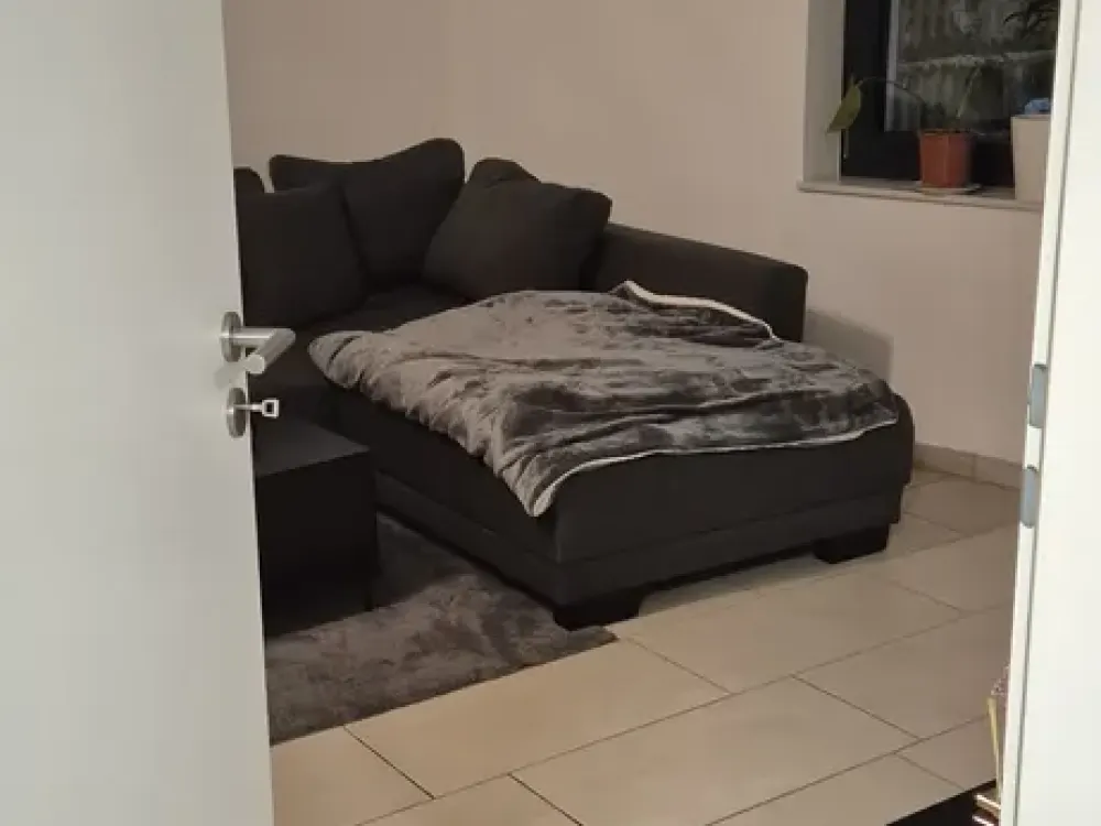 Beautiful Apartment, Basement, Central