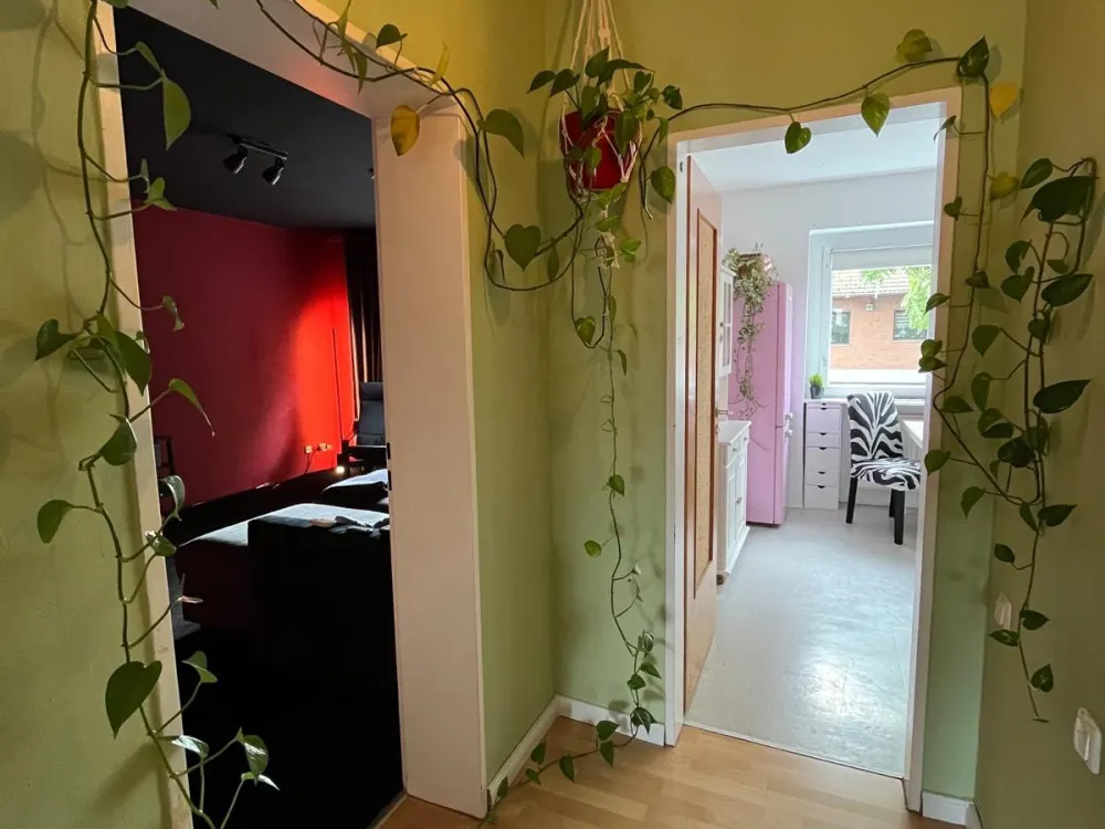 Furnished 3-Room Apartment - Frechen - Looking for a New Tenant